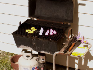 Peeps on the grill